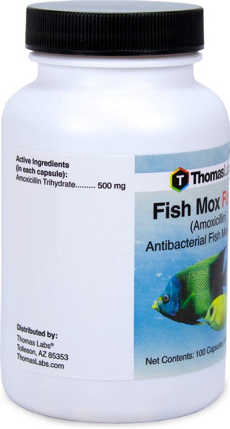 This fish antibiotic is useful for control of some common bacterial diseases in fish including Dropsy, Fin Rot, Red Pest, and diseases caused by bacteria such as Aeromonas, Pseudomonas, and Mycobacterial (Gill diseases and Chondrococcus). . Fish mox forte 500mg